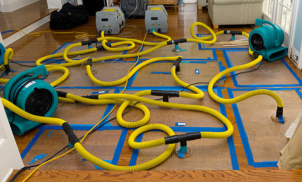 Professional Water Damage Restoration technician working in Taft, FL